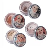 theBalm Overshadow Loose Powder Shadow