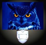 Midnight Owl Decorative Night Light