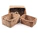 Kitchen & Housewares : Set of 3 Holga Rectangle Baskets with Handles