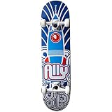 Ally Skateboards Rocket 7.75 Complete 2010