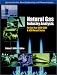 Book Natural Gas Industry Analysis (For the Gas Year 2000-2001) (Natural Gas Industry Analysis)