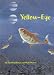 Yellow-Eye