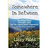 somewhere in between the hokey pokey chocolate cake and the shared death experience