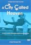 A City Called Heaven
