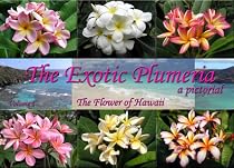 The Exotic Plumeria: A Pictorial: The Flower of Hawaii: 1
