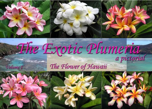 The Exotic Plumeria: A Pictorial: The Flower of Hawaii: 1