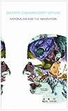 Nationalism and the Imagination-
