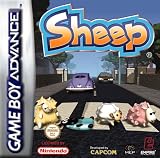 Sheep