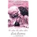 Last Summer in the Hamptons [VHS]