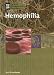 Hemophilia (Genetic Diseases)