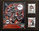 NFL Denver Broncos 2011 Team Plaque