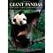 For Panda Fanatics