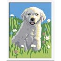 Ravensburger 27907 - Junger Retriever Malen nach Zahlen, 18 x 13 cm