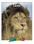 Lions (Zoobooks Series)