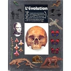 L'�volution