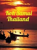 51HFRn%2BFqTL. SL160  Koh Samui Thailand Reviews
