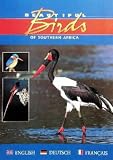 : Beautiful Birds of Southern Africa (Beautiful)