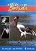 Books : Beautiful Birds of Southern Africa (Beautiful)