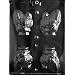 MEDIUM HOLLOW TURKEY Thanksgiving Candy Mold Chocolate