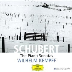 Piano Sonata No.20 In A, D.959 - 1. Allegro