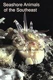 Seashore Animals of the South-east
