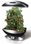 AeroGarden 900342-1200 6 Elite Plus with Ruby Heirloom Tomato Seed Kit and Deluxe Trellis System 900342-1200, Black, 18.5"W x 10.5"D x 34"H
