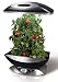 AeroGarden 6 Elite Plus with Ruby Heirloom Tomato Seed Kit and Deluxe Trellis System 900342-1200, Black, 18.5"W x 10.5"D x 34"H