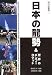 日本の龍勢&世界のバンブーロケット (野外研叢書)