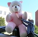 8 FEET TALL GIANT STUFFED ** PINK ** PANDA BEAR - ABSOLUTELY HUMONGOUS AND SOFT AND VERY VERY VERY VERY BIG - AMERICAN MADE IN THE USA AMERICA