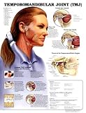 Temporomandibular Joint Antomical Chart