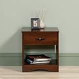 UPC 042666160186 product image for Sauder Beginnings Night Stand, Brook Cherry | upcitemdb.com
