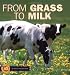 From Grass to Milk (Start to Finish)
