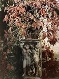 In the Garden of the Wilanow Palace, Which was Once Owned by John Sobieski Photographic Poster Print, 18x24