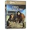 BEST BRITISH CINEMA: CRIME & MYSTERY PBS, BBC, A&E # 1