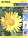 Magazines : Astma I Allergiia