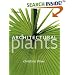 Architectural Plants