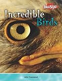 Incredible birds