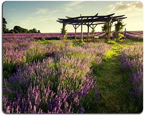Purple Meadow with Gazebo JB Wave Custom Imaged Mouse Pad. High Quality Eco Friendly Cloth with Neoprene Rubber Backing. Customized and Made to Order. 9 7/8 Inch (250mm) X 7 7/8 Inch (200mm) X 1/16 Inch (2mm). Desktop, Laptop, or Gaming Mouse Pad.