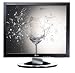 LG Flatron L1981Q Ultra-Slim 19-inch LCD Monitor