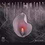 Seduction: Songs By Richard Strauss