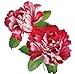 Extra large size red peony flower temporary tattoos 8.66