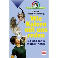 Wie Katzen mit uns reden. Ratgeber rund um die Katze.