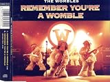 Remember You`re A Womble