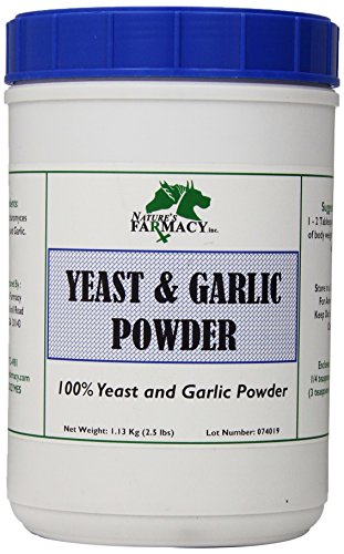 garlic flea repellent