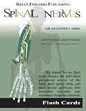 The Spinal Nerves (Flash Cards) (Flash Paks)