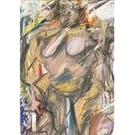 Willem de Kooning: Tracing the Figure book cover
