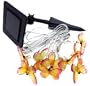 Solar Powered Butterfly Flashing String Light Set