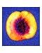 Nectarine with Blue Background