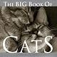 The Big Book of Cats