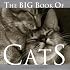 The Big Book of Cats (Big Book of . . . (Welcome Books))